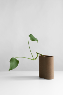 Photo of Plank Shelf with plant Hayo Gebauer Studio